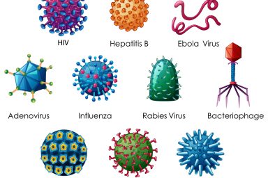 Jön a vírusszezON!…