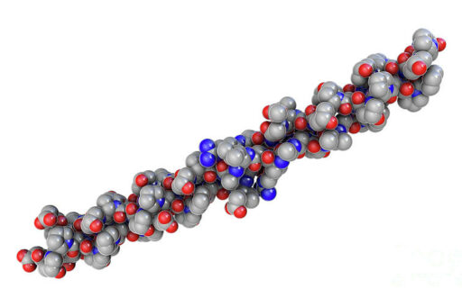 Találóskérdés: mivel vagyunk összeragasztva belül?