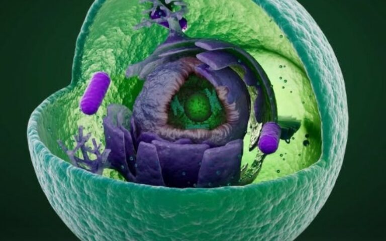 Évértékelő gondolataim (olvasási idő 2 perc)